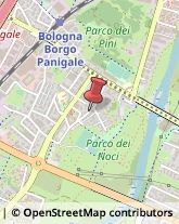 Agenzie di Animazione e Spettacolo Bologna,40132Bologna