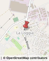 Pasticcerie - Dettaglio La Loggia,10040Torino