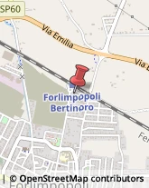 Ristoranti Forlimpopoli,47034Forlì-Cesena