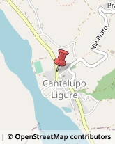 Autotrasporti Cantalupo Ligure,15060Alessandria