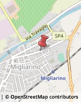 Sport - Scuole Migliarino,44027Ferrara