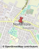 Erboristerie Nonantola,41015Modena