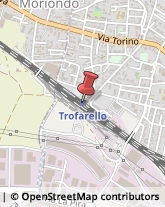 Trasporti Ferroviari Trofarello,10028Torino