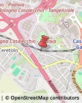 Autofficine e Centri Assistenza,40033Bologna