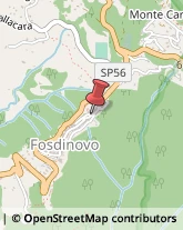 Piante e Fiori - Dettaglio Fosdinovo,54035Massa-Carrara