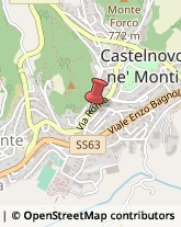 Corpo Forestale Castelnovo Ne' Monti,42035Reggio nell'Emilia