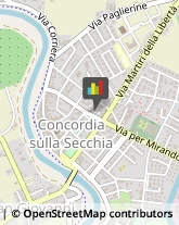 Società Immobiliari Concordia sulla Secchia,41033Modena