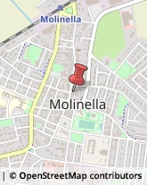 Pescherie Molinella,40062Bologna