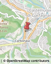 Consulenze Speciali Castelnuovo di Garfagnana,55032Lucca