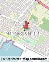 Agenti e Rappresentanti di Commercio,54033Massa-Carrara