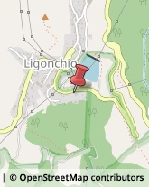 Panetterie Ligonchio,42039Reggio nell'Emilia