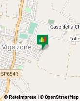 Consulenze Speciali Vigolzone,29020Piacenza