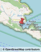 Autotrasporti Portofino,16034Genova