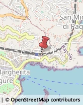 ,16038Genova