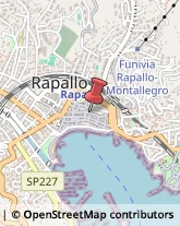 Piante e Fiori - Dettaglio Rapallo,16100Genova