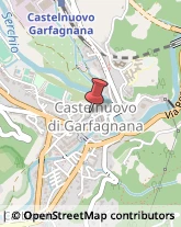 Biblioteche Private e Pubbliche Castelnuovo di Garfagnana,55032Lucca