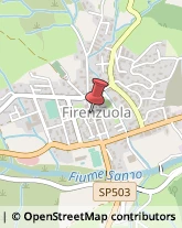 Associazioni Sindacali Firenzuola,50033Firenze