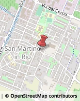 Piante e Fiori - Dettaglio San Martino in Rio,42018Reggio nell'Emilia