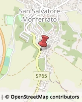 Autofficine e Centri Assistenza San Salvatore Monferrato,15046Alessandria