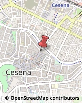 Articoli per Ortopedia Cesena,47521Forlì-Cesena