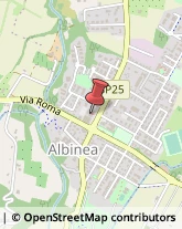 Profumerie Albinea,42020Reggio nell'Emilia