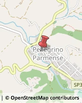 Carpenterie Ferro Pellegrino Parmense,43047Parma