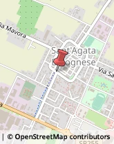 Consulenza Informatica Sant'Agata Bolognese,40019Bologna