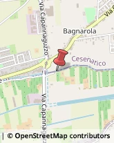 Maniscalchi Cesena,47521Forlì-Cesena