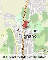 Torrefazioni Caffè - Vendita al Dettaglio ed Esercizi Pavullo nel Frignano,41026Modena