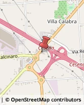 Trasporti Internazionali,47521Forlì-Cesena