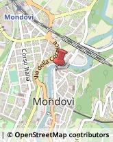 Podologia - Studi e Centri Mondovì,12084Cuneo