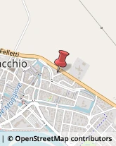 Articoli per Ortopedia Comacchio,44022Ferrara