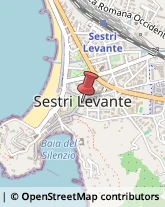 Parafarmacie Sestri Levante,16039Genova