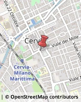 Consulenze Speciali Cervia,48015Ravenna