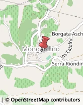 Spedizioni Internazionali Mongardino,14040Asti