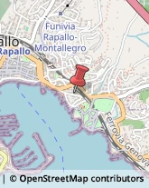 Agenti e Rappresentanti di Commercio Rapallo,16035Genova