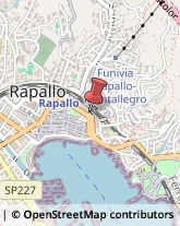 Ragionieri e Periti Commerciali - Studi Rapallo,16035Genova