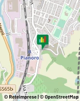 Autotrasporti Pianoro,40065Bologna