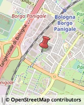 Metalli - Trattamenti Termici Bologna,40132Bologna