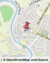 Ambulatori e Consultori Concordia sulla Secchia,41033Modena