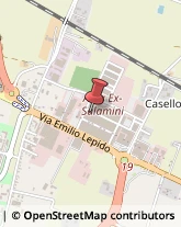 Trasporti Celeri Parma,43122Parma