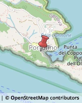 Ottica, Occhiali e Lenti a Contatto - Dettaglio Portofino,16034Genova