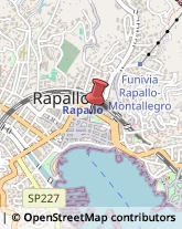 Pubblicità - Fotografia Servizi Rapallo,16035Genova