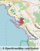 Locali, Birrerie e Pub Camogli,16032Genova