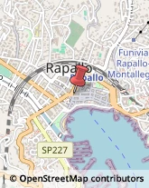 Agenzie Immobiliari Rapallo,16035Genova