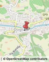 Tabaccherie Dogliani,12063Cuneo