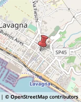 Pescherie Lavagna,16033Genova