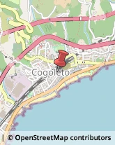 Autoscuole Cogoleto,16016Genova