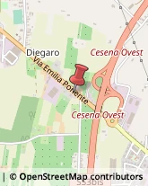 Massaggi Cesena,47522Forlì-Cesena