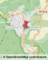 Macellerie Lizzano in Belvedere,40042Bologna